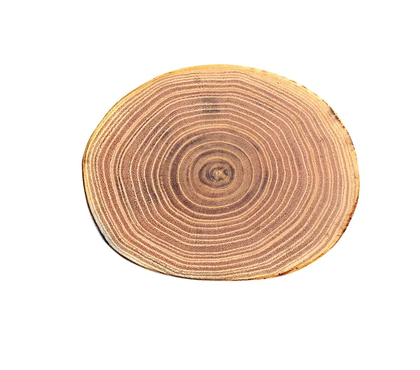 Woodent Textur Närbild — Stockfoto