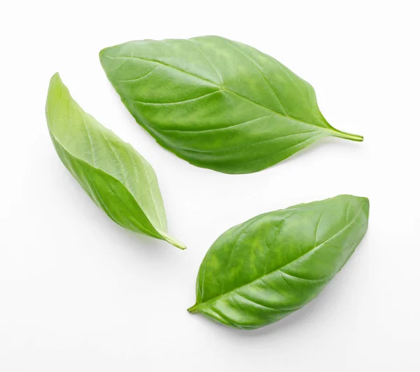 Fresh basil leaves — Stock Photo, Image