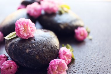 Spa taşlar ve pembe çiçekler