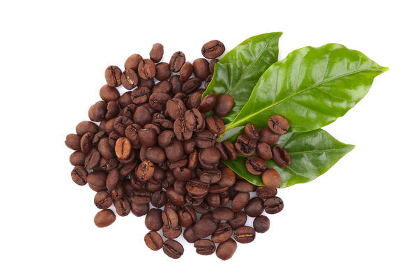 Coffee beans and green leaves