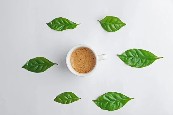 Lekkere koffie met bladeren — Stockfoto