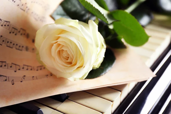 Musical notes and white rose — Stock Photo, Image