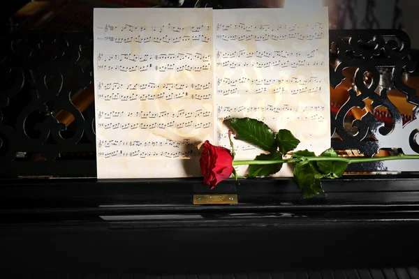 Notes de musique et rose rouge — Photo