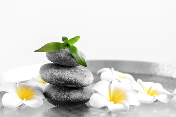 Gray spa stones with plumeria flowers — Stock Photo, Image