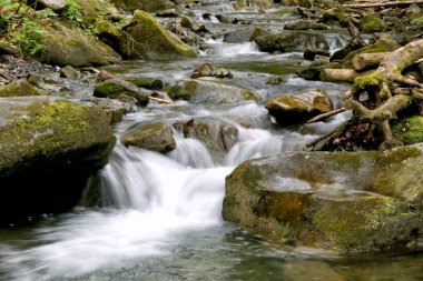 Muhteşem dağ Nehri