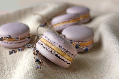 Çalı çırpı ile lezzetli macaroons 