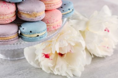 Güzel peonies ile lezzetli macaroons