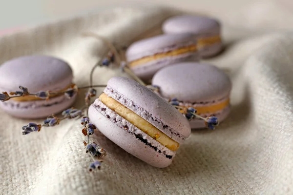 Tasty macaroons with twigs — Stock Photo, Image