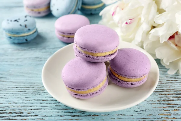 Macarons savoureux avec de belles pivoines — Photo