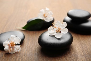 Spa sıcak taş yığını 