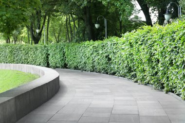 Parkta güzel geçit