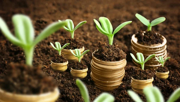 Coins in soil with young plants — Stock Photo, Image