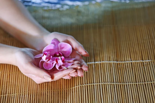 Mani femminili con orchidee rosa — Foto Stock