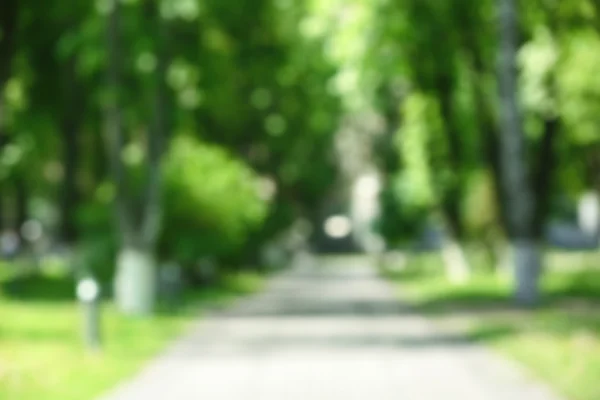 Blurred walkway in park — Stock Photo, Image