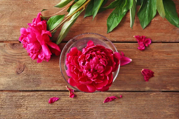 Beautiful peony in glass — Stock Photo, Image