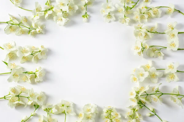 Flores frescas de jazmín —  Fotos de Stock