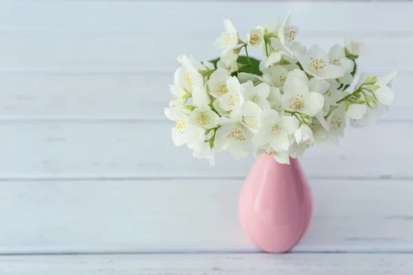 Frische Jasminblüten — Stockfoto