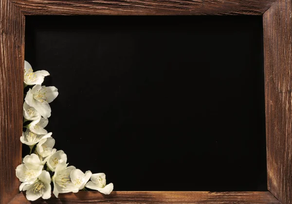 Fresh jasmine flowers — Stock Photo, Image