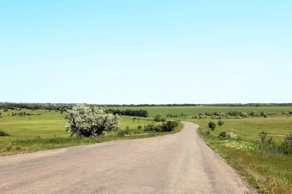 Road in green field — Stock Photo, Image