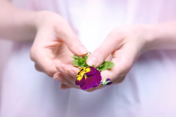 Girl holding meadow flower — Stock Photo, Image