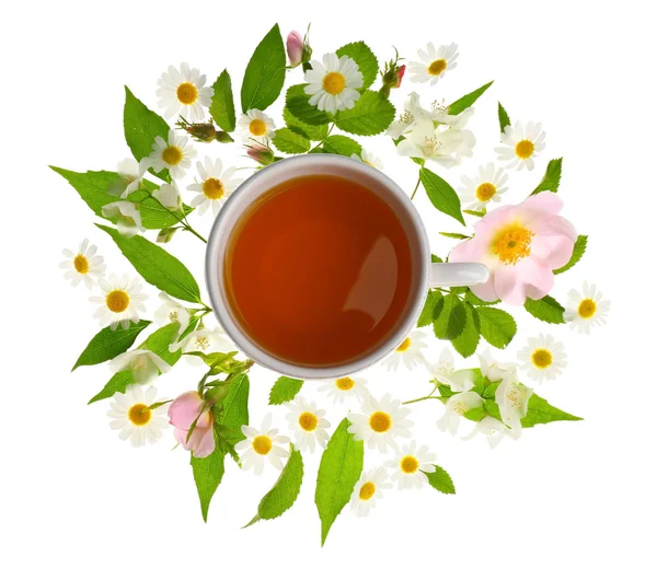 Cup of tea with fresh flowers — Stock Photo, Image