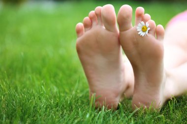 Daisy ile kadın bacakları 