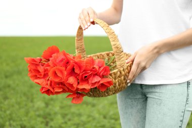 Haşhaş sepetle tutan eller 