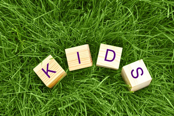 Word KIDS on wooden cubes — Stock Photo, Image