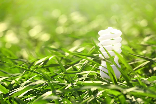 Light bulb in grass — Stock Photo, Image