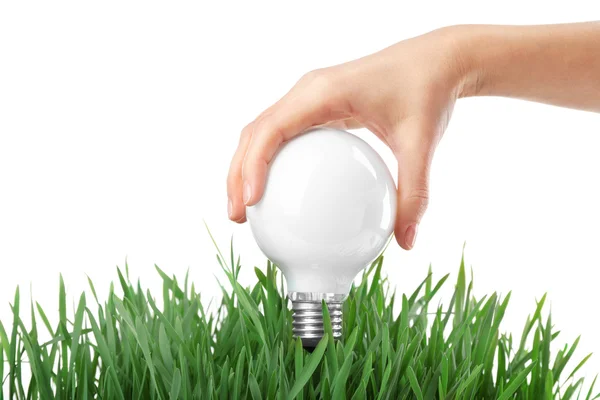 Woman holding bulb in grass — Stock Photo, Image