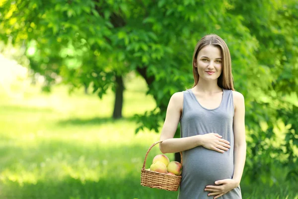 Беременная женщина держит корзину — стоковое фото