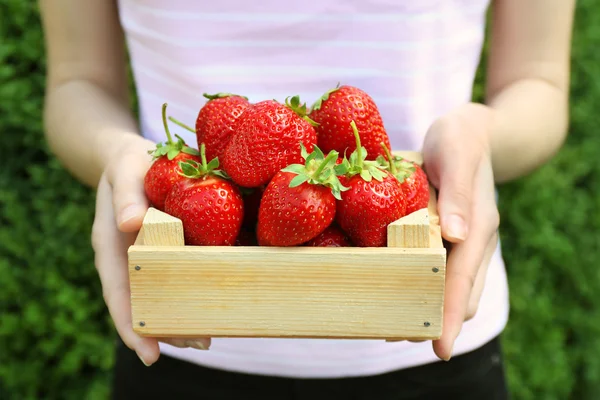 Mains tenant des fraises — Photo