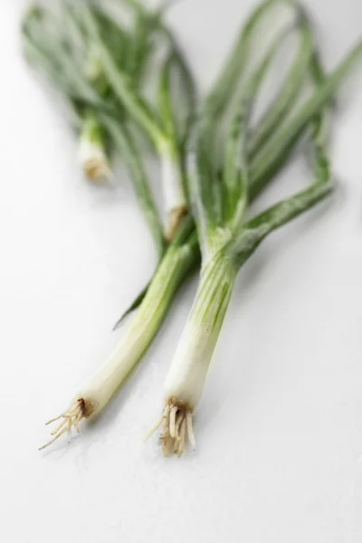 Cipolla verde fresca — Foto Stock