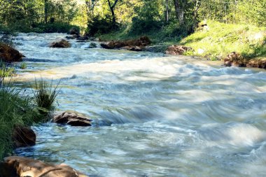 Dağ orman geniş stream