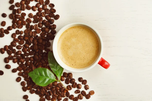 Csésze kávé babbal és levelek — Stock Fotó