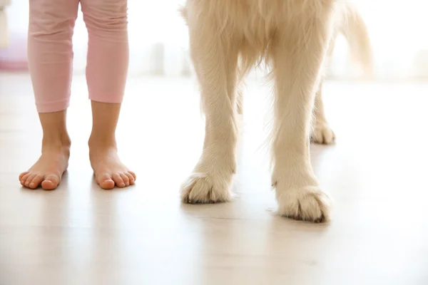 Patas de niño y patas de perro — Foto de Stock