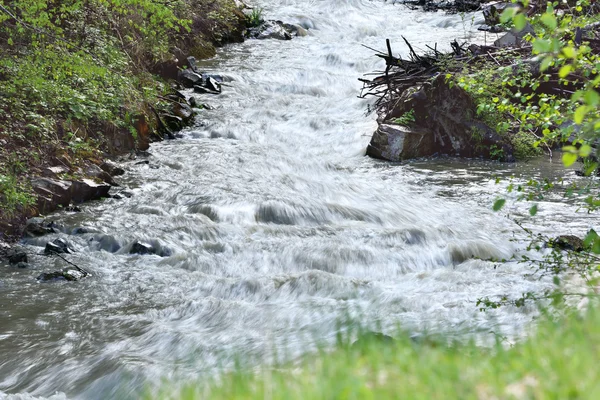 Wide stream in mountain forest — Stock Photo, Image