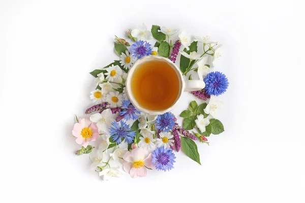 Taza de té con flores frescas — Foto de Stock