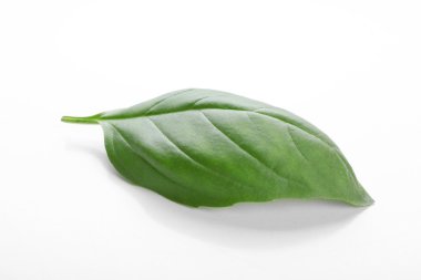 taze fesleğen yaprağı 