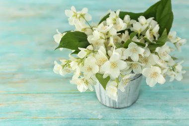 taze Yasemin çiçekleri