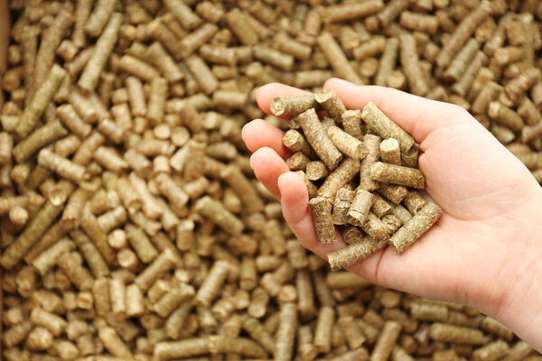  hand holding solid wooden pellets