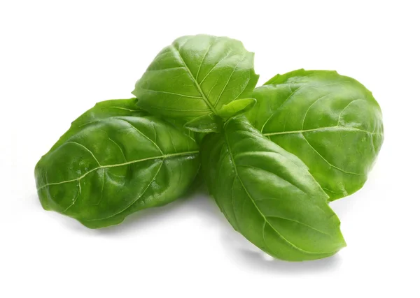 Fresh basil leaves — Stock Photo, Image