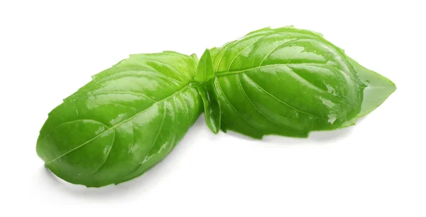 Fresh basil leaves — Stock Photo, Image