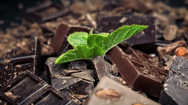 ミントとチョコレートの部分を葉します。 — ストック写真