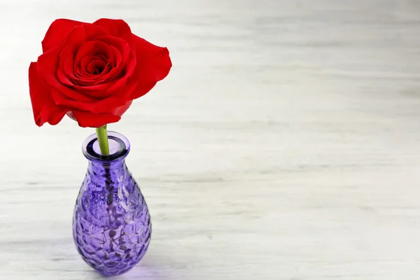 Красная роза на столе — стоковое фото