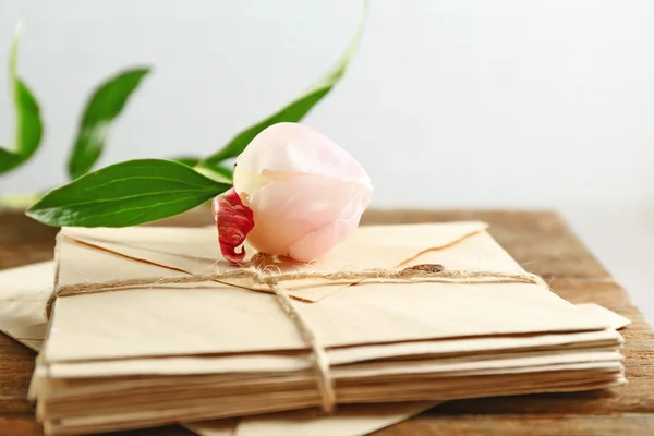 Composição com flor de peônia e envelopes — Fotografia de Stock