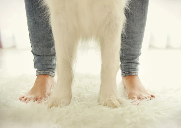 Menino e cão no tapete — Fotografia de Stock