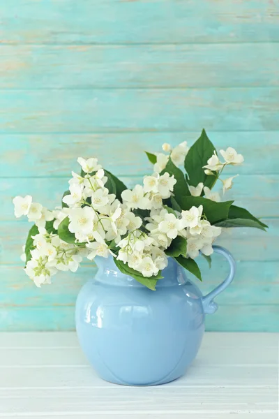 Flores frescas de jazmín —  Fotos de Stock