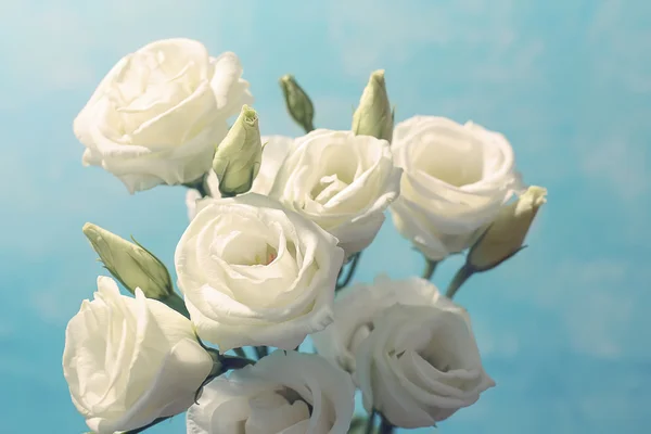 Flores de Eustoma blanco —  Fotos de Stock