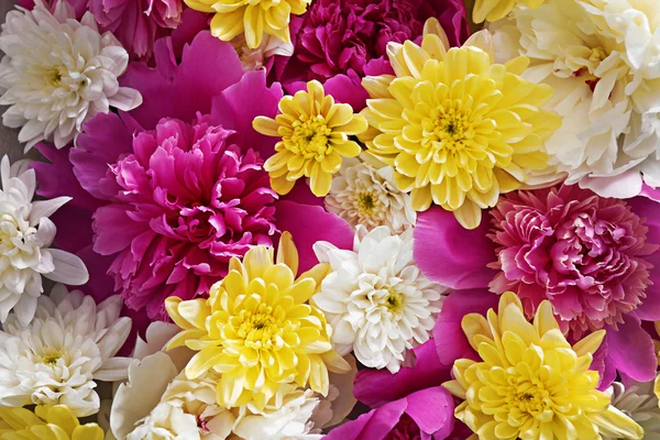 Colorful pattern of flowers — Stock Photo, Image